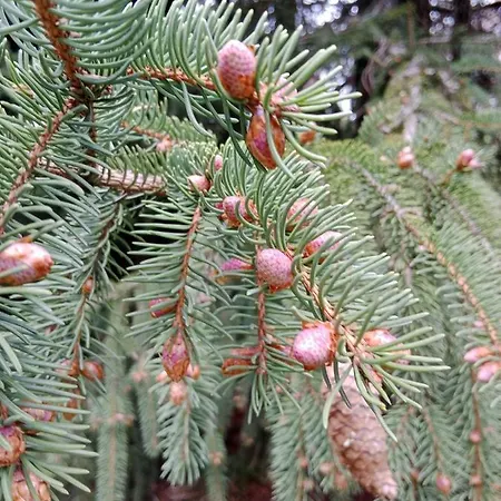 La Combette Frühstückspension