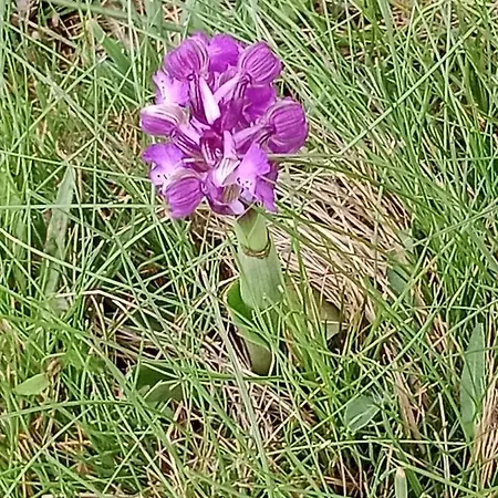 La Combette Frühstückspension