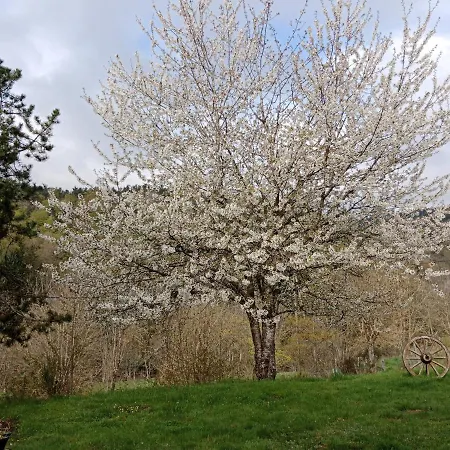 La Combette Frühstückspension 3*