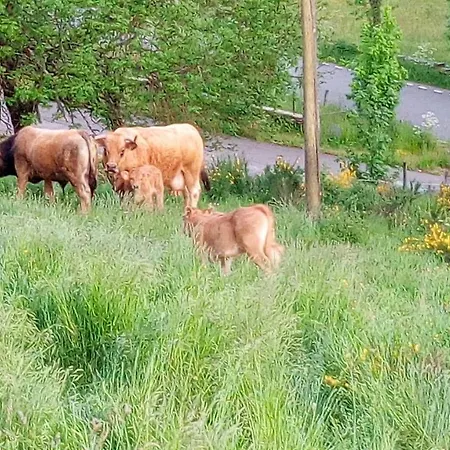 Frühstückspension La Combette 3*