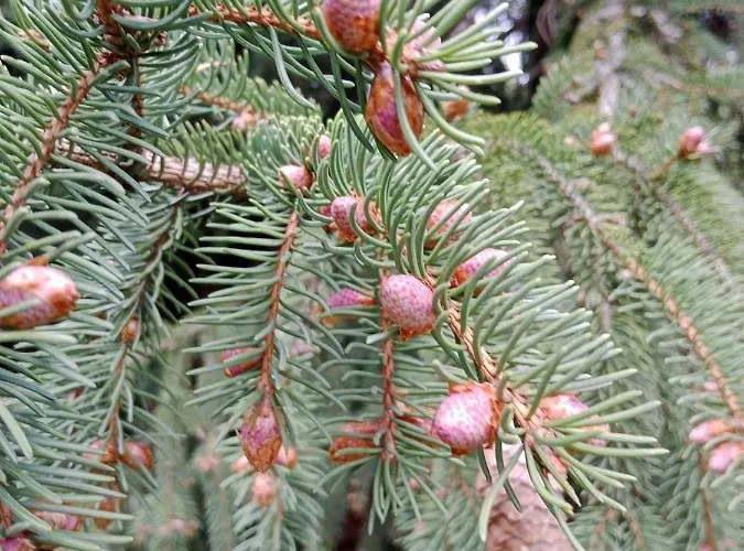 La Combette Bed and breakfast