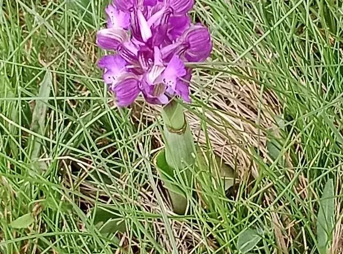 La Combette Bed and breakfast