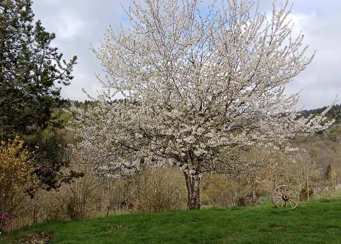 La Combette Bed and breakfast 3*